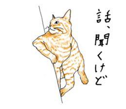 brown tabby cat koto-chan part3 sticker #3134120