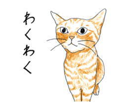 brown tabby cat koto-chan part3 sticker #3134121