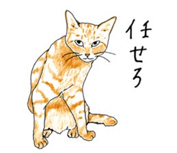 brown tabby cat koto-chan part3 sticker #3134122