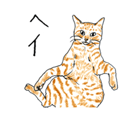 brown tabby cat koto-chan part3 sticker #3134123
