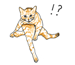 brown tabby cat koto-chan part3 sticker #3134124