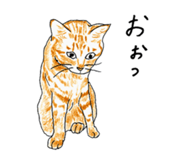 brown tabby cat koto-chan part3 sticker #3134128