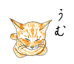 brown tabby cat koto-chan part3 sticker #3134130