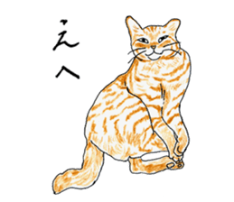 brown tabby cat koto-chan part3 sticker #3134133