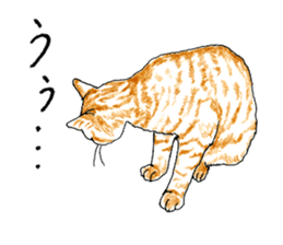 brown tabby cat koto-chan part3 sticker #3134134