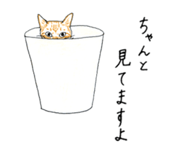 brown tabby cat koto-chan part3 sticker #3134135