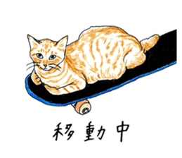 brown tabby cat koto-chan part3 sticker #3134136