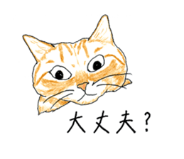 brown tabby cat koto-chan part3 sticker #3134139
