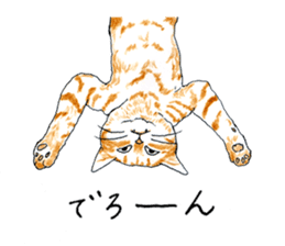 brown tabby cat koto-chan part3 sticker #3134140