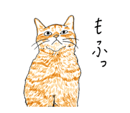 brown tabby cat koto-chan part3 sticker #3134141