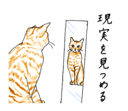 brown tabby cat koto-chan part3 sticker #3134143