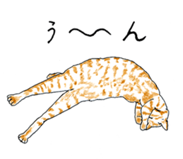 brown tabby cat koto-chan part3 sticker #3134144