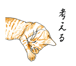 brown tabby cat koto-chan part3 sticker #3134145