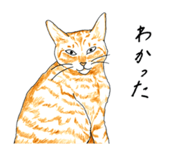 brown tabby cat koto-chan part3 sticker #3134146