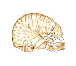 brown tabby cat koto-chan part3 sticker #3134147