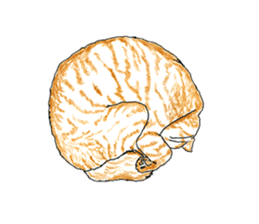 brown tabby cat koto-chan part3 sticker #3134148