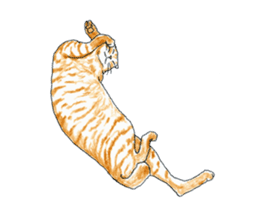 brown tabby cat koto-chan part3 sticker #3134149