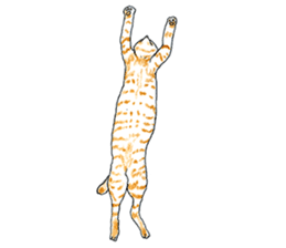 brown tabby cat koto-chan part3 sticker #3134150