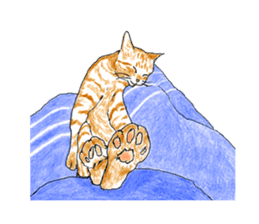brown tabby cat koto-chan part3 sticker #3134151