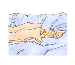 brown tabby cat koto-chan part3 sticker #3134152