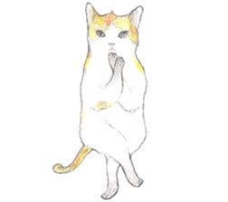 Yoga with Cat sticker #3136240