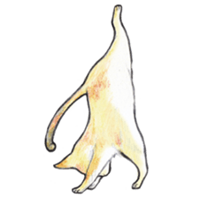 Yoga with Cat sticker #3136242