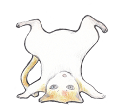 Yoga with Cat sticker #3136244