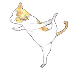 Yoga with Cat sticker #3136250