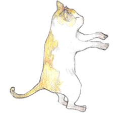 Yoga with Cat sticker #3136252