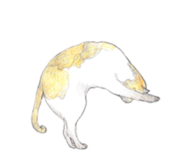 Yoga with Cat sticker #3136253