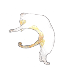 Yoga with Cat sticker #3136254