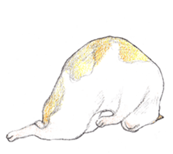 Yoga with Cat sticker #3136256