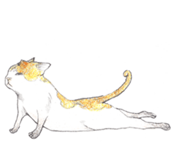 Yoga with Cat sticker #3136257