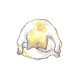 Yoga with Cat sticker #3136261