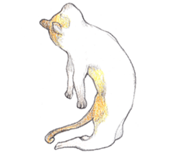 Yoga with Cat sticker #3136263