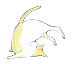 Yoga with Cat sticker #3136264
