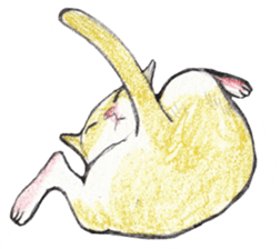 Yoga with Cat sticker #3136265