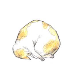 Yoga with Cat sticker #3136266