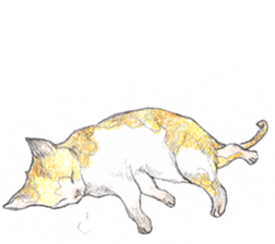 Yoga with Cat sticker #3136267