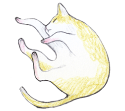 Yoga with Cat sticker #3136268