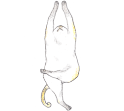 Yoga with Cat sticker #3136271