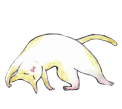 Yoga with Cat sticker #3136273