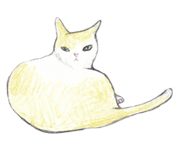 Yoga with Cat sticker #3136274