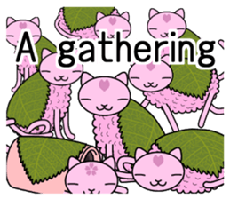 "SAKURA MOCHI" cats sticker #3136939