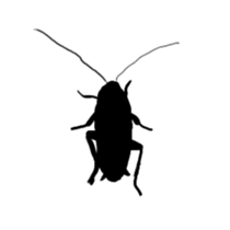 cockroach sticker 2 sticker #3140519