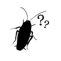 cockroach sticker 2 sticker #3140524