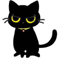 Black Cat Moimoi