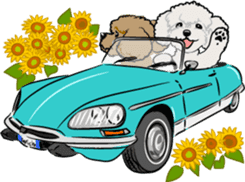 Bonjour, Poodles! sticker #3141156