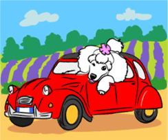 Bonjour, Poodles! sticker #3141158