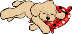Bonjour, Poodles! sticker #3141183